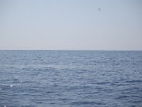 Mallorca 593